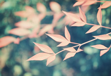 巅峰对决：热门球队逐鹿荣耀，谁是最终的王者？