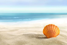 欧预赛赛事如约而至，紧张氛围弥漫绿茵之上