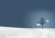 墨西哥球员世界波破门，点燃绿茵激情，狂欢庆祝嗨翻全场！