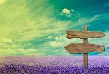 勇士主场告捷！尼克斯惊险绝杀，全场沸腾！