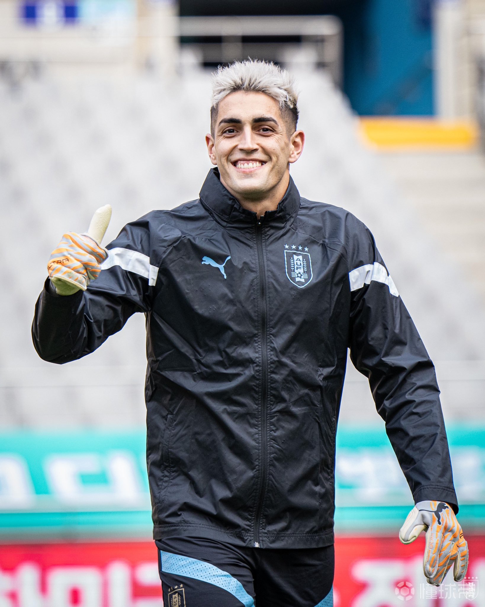 关于西雅图海湾者全力冲击冠军，关键球员备战状态受关注的信息