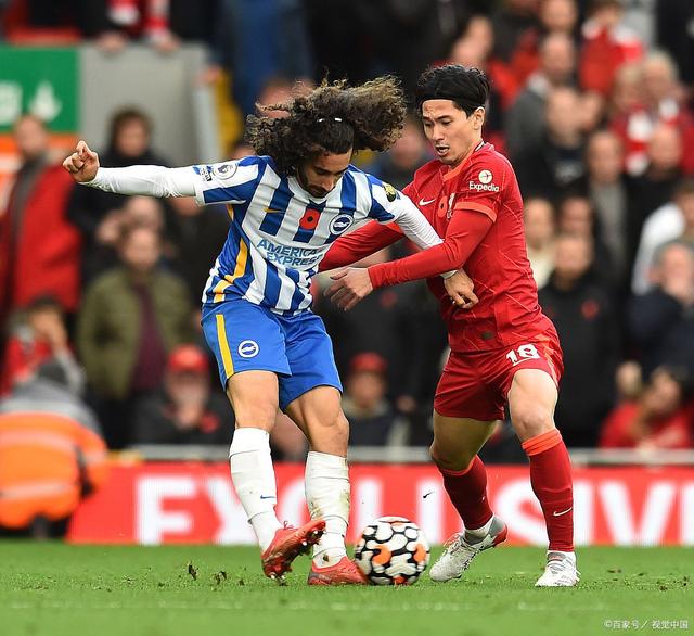 布莱顿联队主场艰难战平,保持不败 布莱顿联队主场艰难战平,保持不败