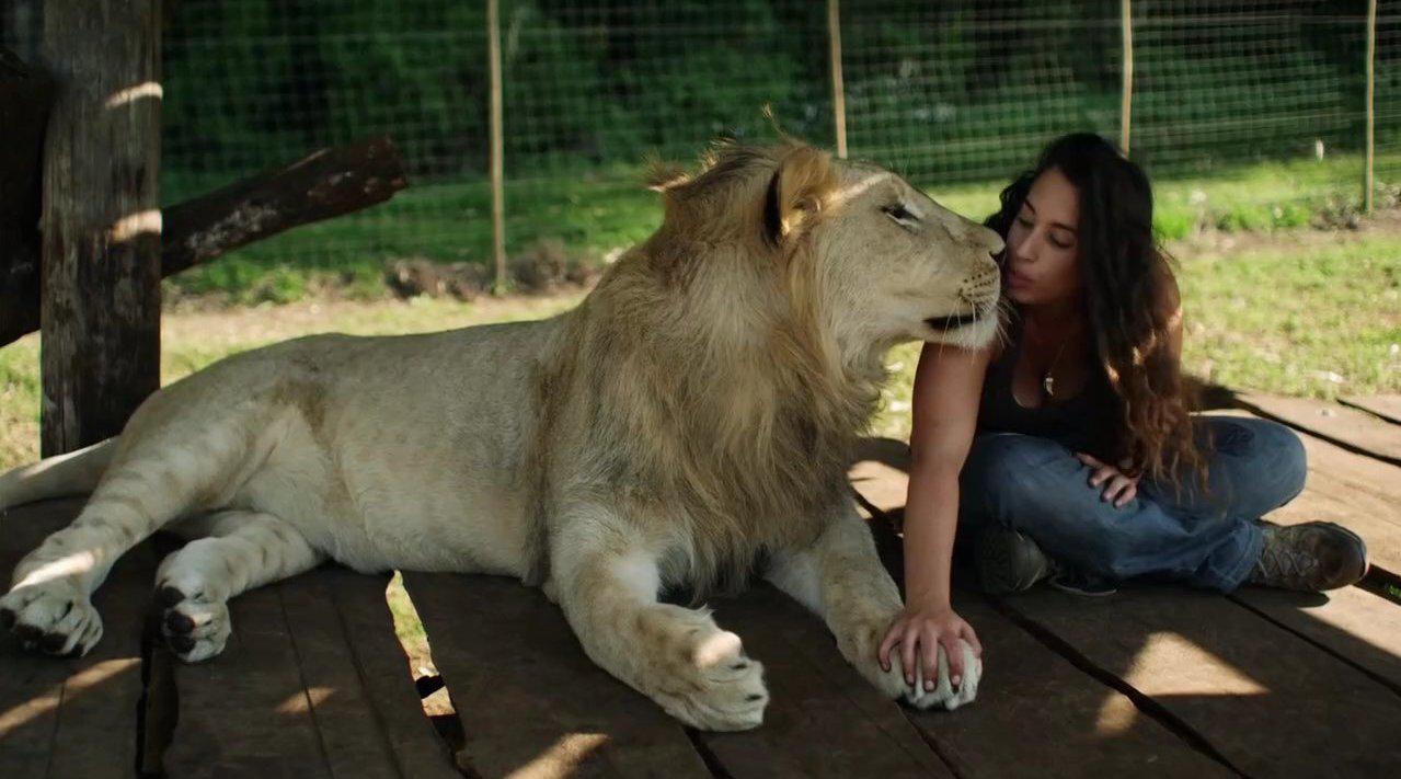 关于西藏雄狮队一飞冲天，英姿飒爽昂首登峰的信息