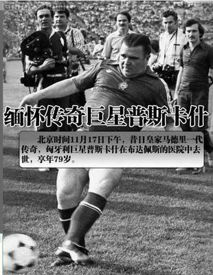 匈牙利队连胜晋级,成功出人意料 匈牙利队连胜晋级,成功出人意料